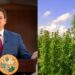 Florida Bans Marijuana Access To People With Drug Convictions