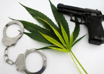 DOJ Reasserts Firearm Ban For Marijuana Users