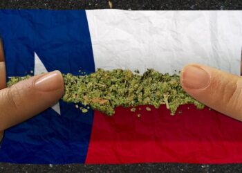 Texas Governor Abbott Weighs Hemp Ban As Deadline Nears