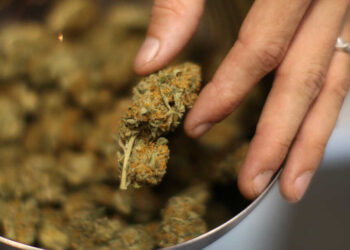 New Studies Showing Increased Risk Of Heart Issues & Psychosis Due To Cannabis Consumption