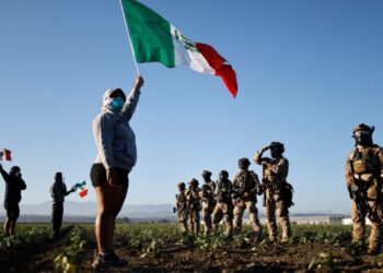 US Veteran one of the 360 arrested by ICE in Cannabis Farm Raid