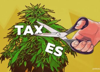 California’s Cannabis Tax went up even more
