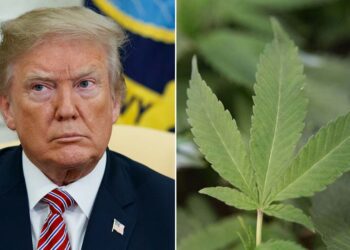 Cannabis PAC Donates $1 Million To Trump Super PAC Amid Reform Push