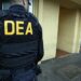 A Look into the Illicit Market Crackdown