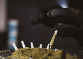 Slightly Stoopid Sparks Up At Concert In Texas As The State Tightens Hemp Regulations