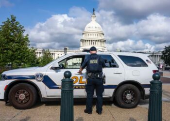 Federal agents in DC are saying Trump is tired of marijuana