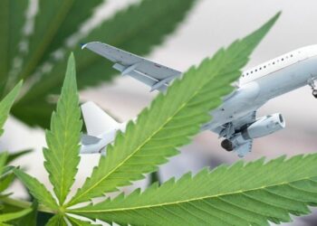 California Cannabis Is Being Smuggled Into The U.K. Due to Insane Demand