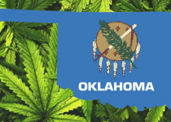 Oklahoma Bureau of Narcotics Says Their Marijuana industry is Infiltrated by Foreign Nationals