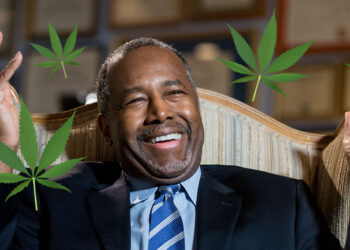 Ben Carson Thinks Less Cannabis Restrictions Will Make Cities Worse