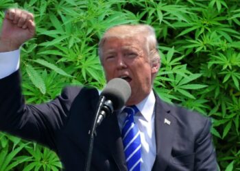 What’s the deal with Trump’s endocannabinoid video?