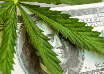 Weed Stocks are having a moment