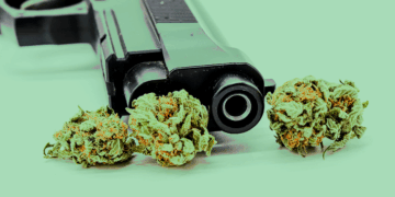 Gun Ban For Marijuana Consumers Deemed Unconstitutional, Appeals Court Dismisses Conviction