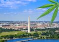 New Regulations On What Cannabis Retailers Can and Cannot Sell Coming Soon From DC