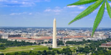 New Regulations On What Cannabis Retailers Can and Cannot Sell Coming Soon From DC