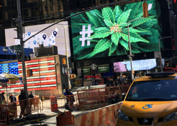 New York Cannabis Prices Plummet as Competition Rises