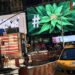 New York Cannabis Prices Plummet as Competition Rises