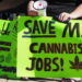 Michigan Judge Refuses To Stop Cannabis Tax Hike