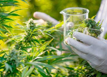 Some more good news for marijuana’s medical effect