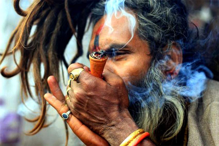 Shivaratri Festival in Nepal was filled with marijuana smoking