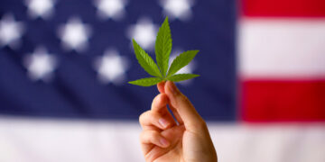 Will Any States Legalize Adult Use Cannabis In 2026?