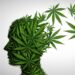 Not much evidence supporting marijuana’s benefits for mental health