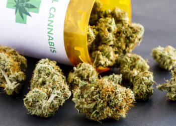Terminally Ill People get Legal Marijuana in Washington