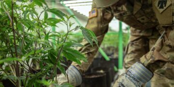 Cannabis Business Ties Makes Army Major Lose Promotion