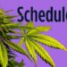 Congressman wants to know what’s going on with marijuana rescheduling