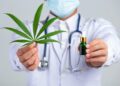 How Cannabis Components Show Promise Against Glioblastoma and Other Cancers