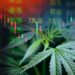 Are Cannabis Stocks back?