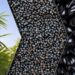 How Hemp-Based Plastics Could Revolutionize Sustainable Packaging