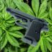 Supreme Court Shields Gun Rights for Marijuana Users in Landmark Ruling