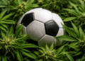 State Officials Guide World Cup Fans on Cannabis Use Amid Heightened Global Scrutiny
