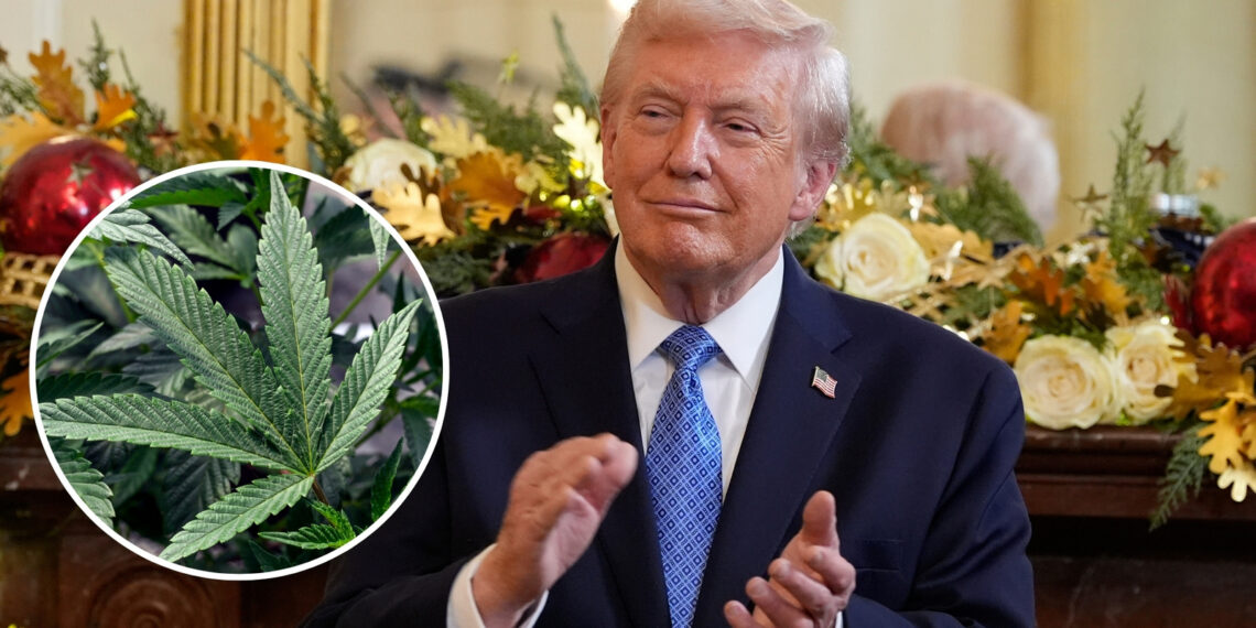 Former Trump Attorney General’s Stark Claims on Marijuana’s Risks and Medical Value