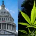 Congress Proposes Bipartisan Bill to Regulate Hemp-Derived THC Products with New Taxes