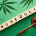 Inside the first week of the Marijuana Rescheduling Hearing
