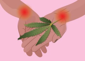 Marijuana can potentially eliminate the need for opioids