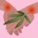 Marijuana can potentially eliminate the need for opioids