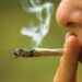 Marijuana Use Now Exceeds Cigarette Smoking in the U.S., New Study Reveals