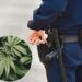 Over 200,000 Marijuana Possession Arrests in the U.S. Signal Persistent Enforcement Challenges