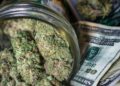 California is no longer the largest cannabis market in the world