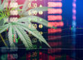Marijuana IPOs Set to Reshape the Market as NYSE and Nasdaq Eye Cannabis Listings