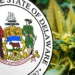 Delaware’s Cannabis Market Faces Unexpected Slowdown Amid Early Industry Challenges