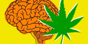 0210RRMarijuanaBrainHealth_SC