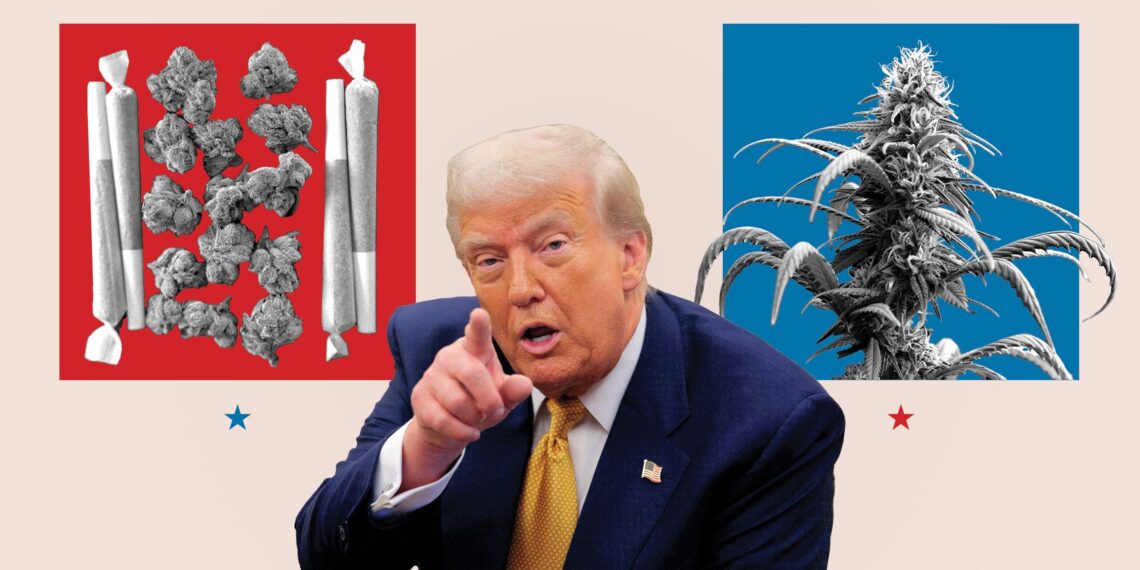 202508009-trump-campaign-promise-marijuana-final