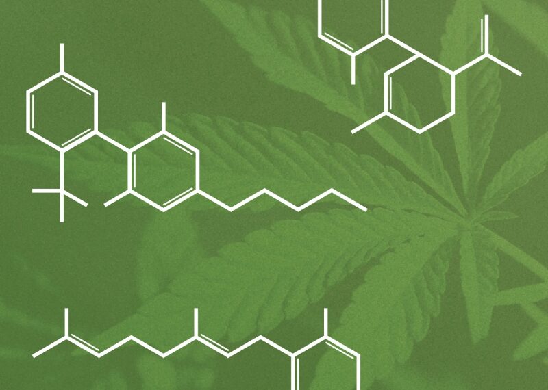 More THC doesn’t mean you’re more high