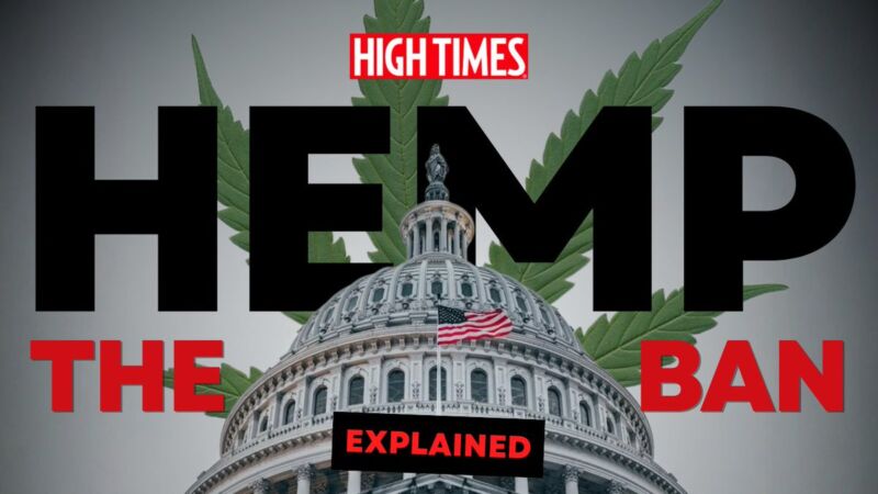 Image for the Tweet beginning: THE HEMP BAN, EXPLAINED:

How Congress